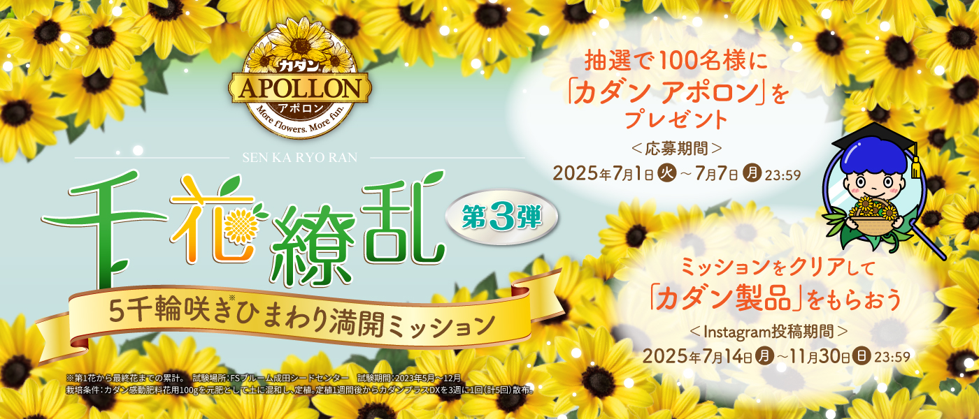 千花繚乱 第3弾 5千輪咲きひまわり満開ミッション