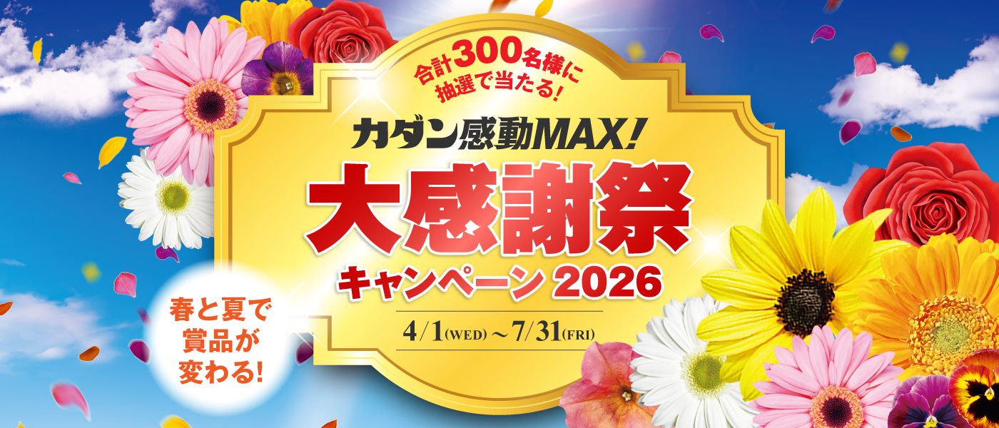 カダンMAX大感謝祭