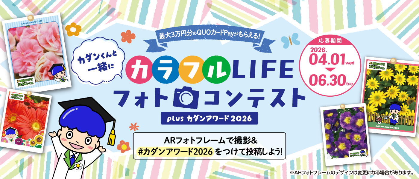 カラフルLIFEフォトコンテスト