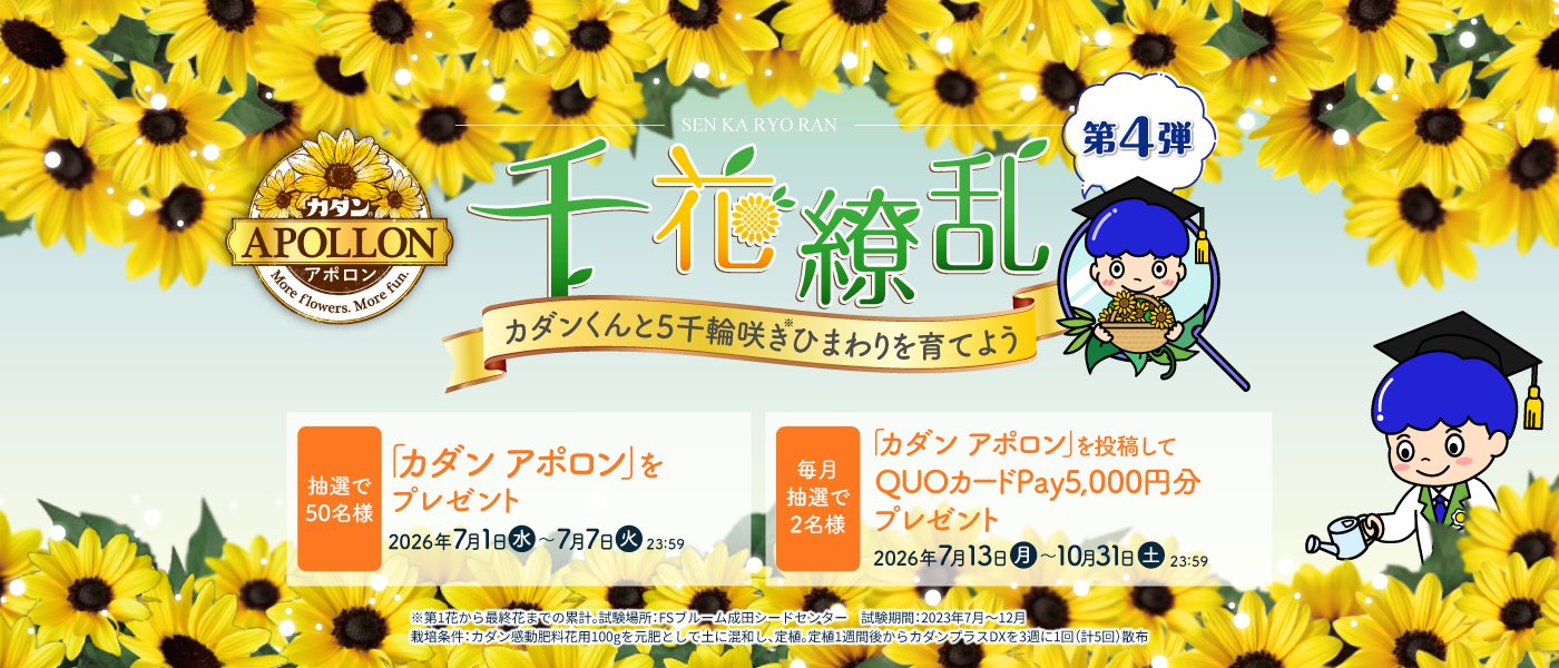 千花繚乱キャンペーン 第4弾