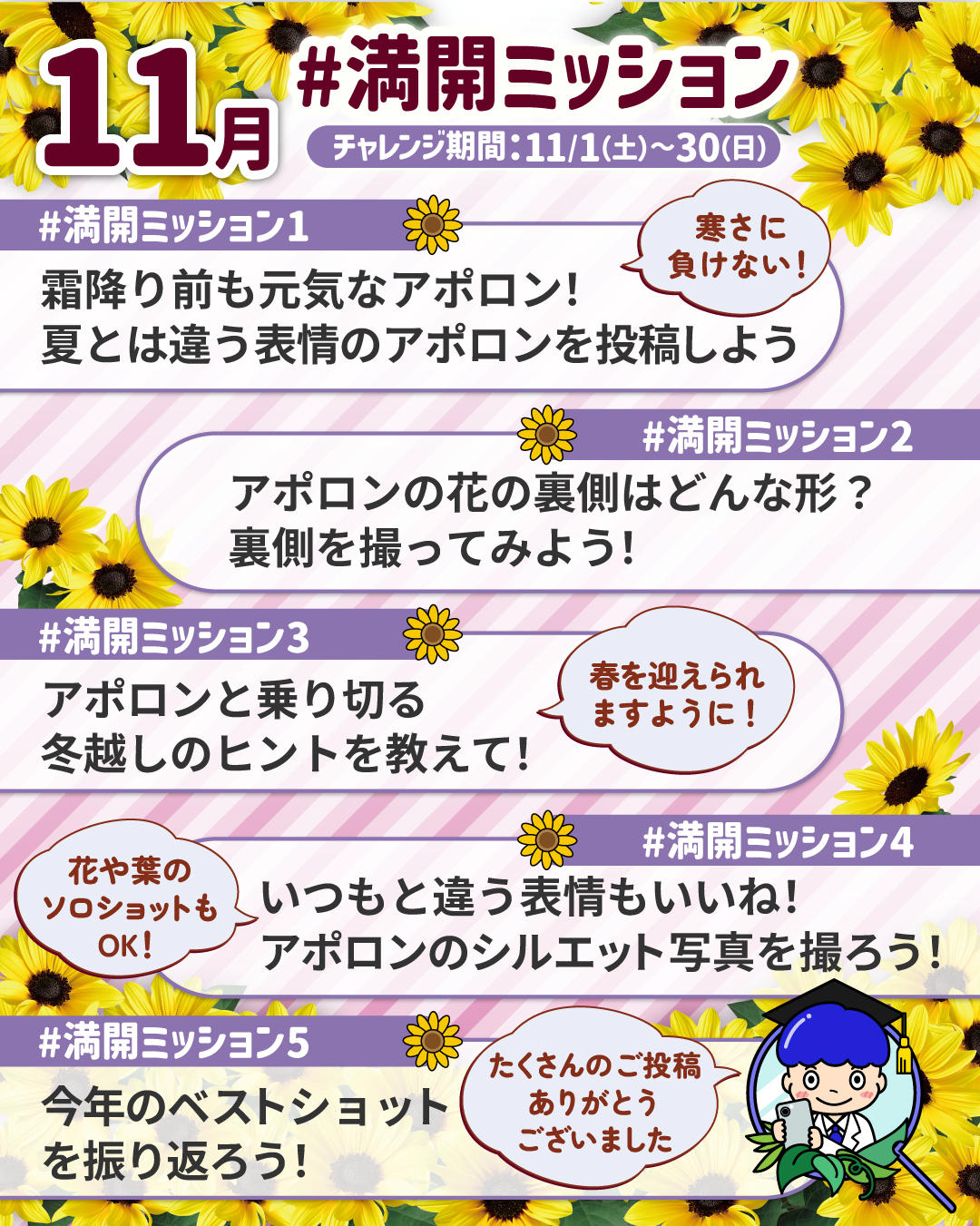 ミッションカード