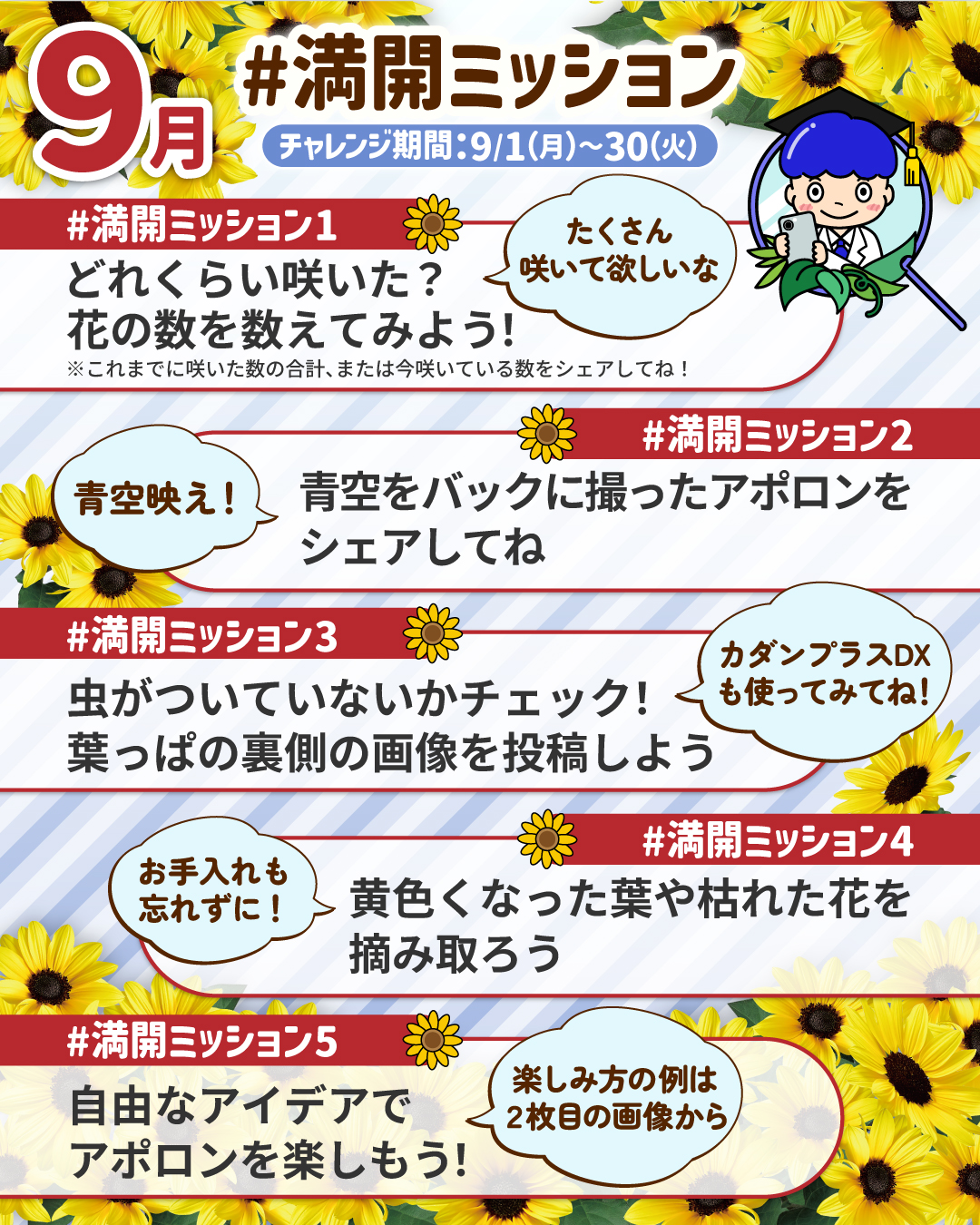 ミッションカード