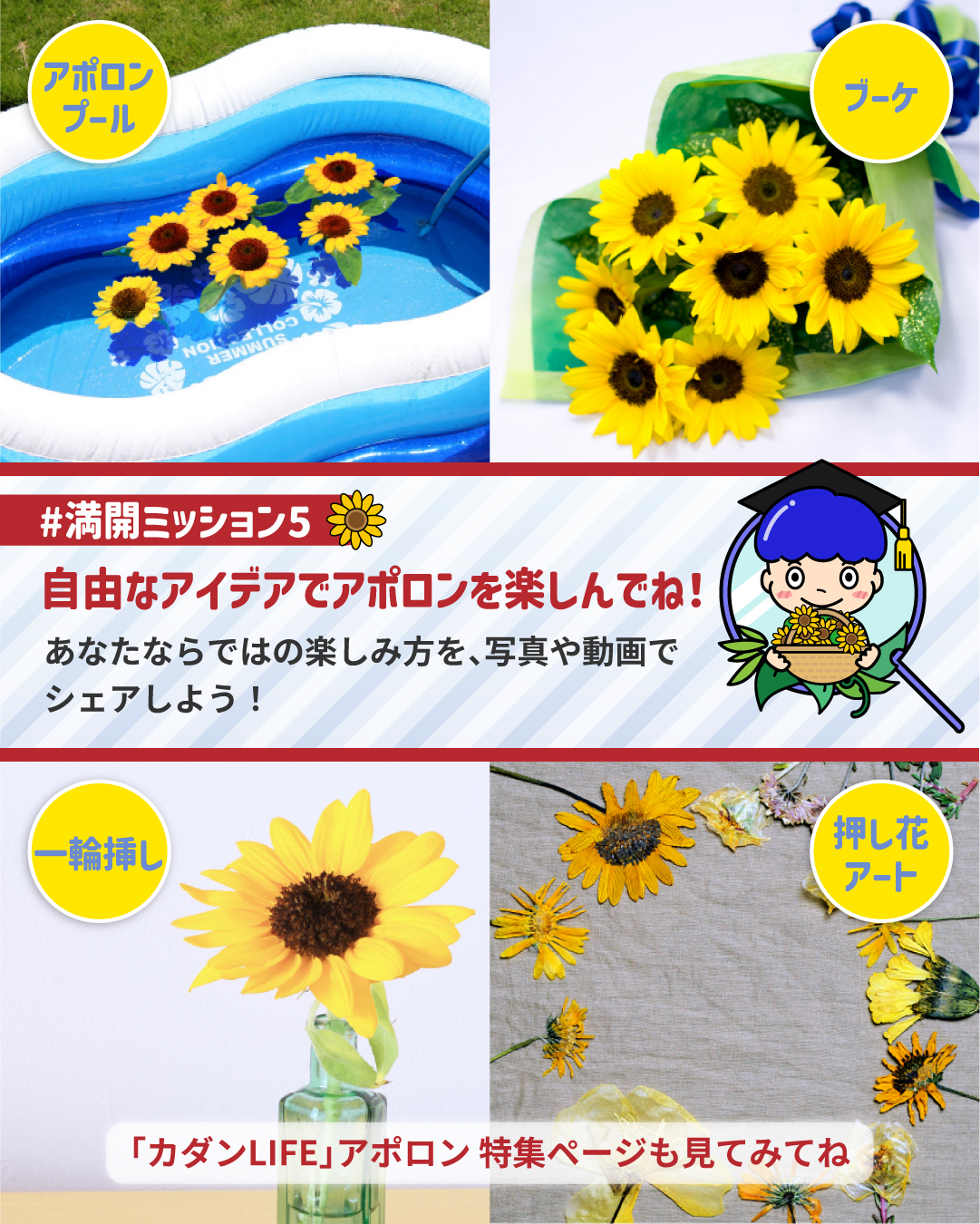 ミッションカード