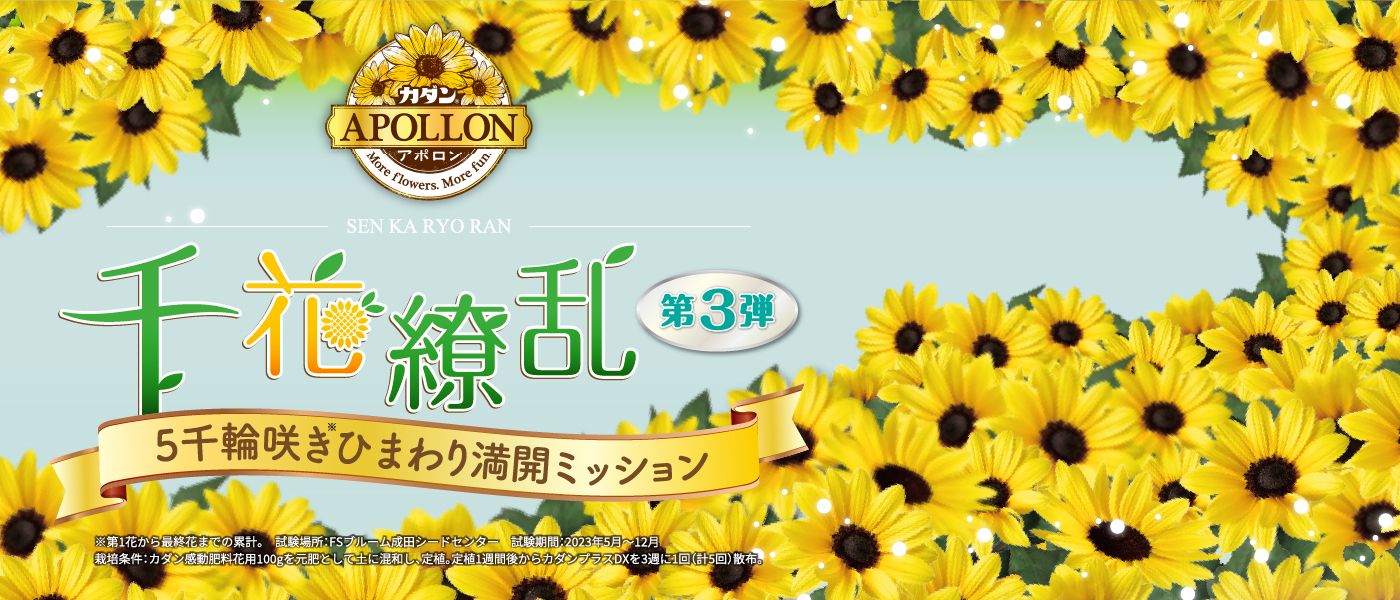 カダン アポロン 千花繚乱キャンペーン 第3弾