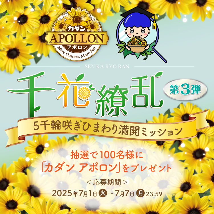 千花繚乱キャンペーン 第3弾 5千輪咲きひまわり満開ミッション