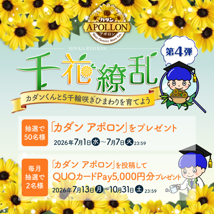 千花繚乱キャンペーン 第4弾 5千輪咲きひまわり満開ミッション