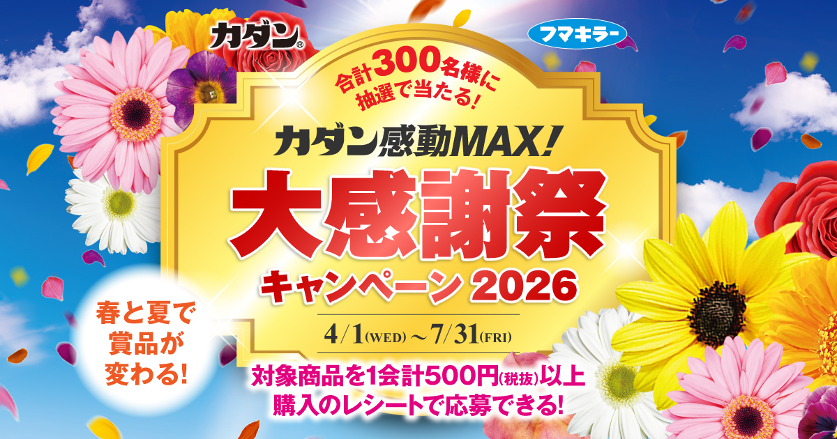2026カダン感動MAX!大感謝祭