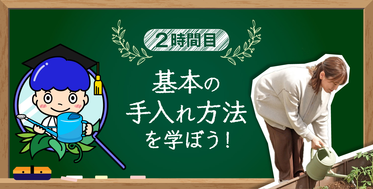 2時間目 基本の手入れ方法を学ぼう！