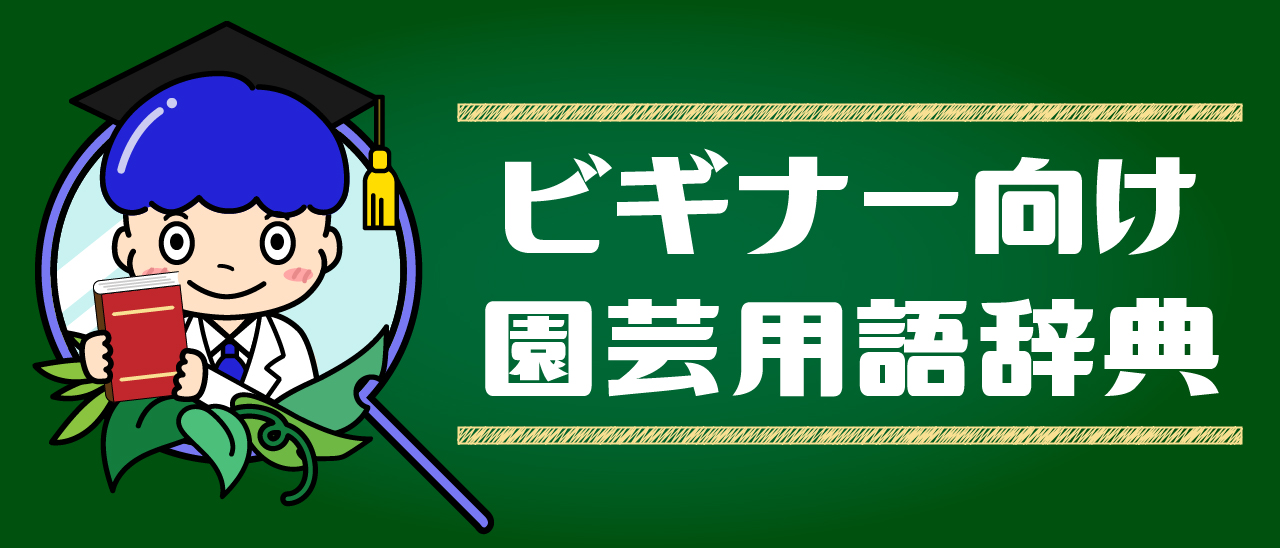 ビギナー向け園芸用語辞典