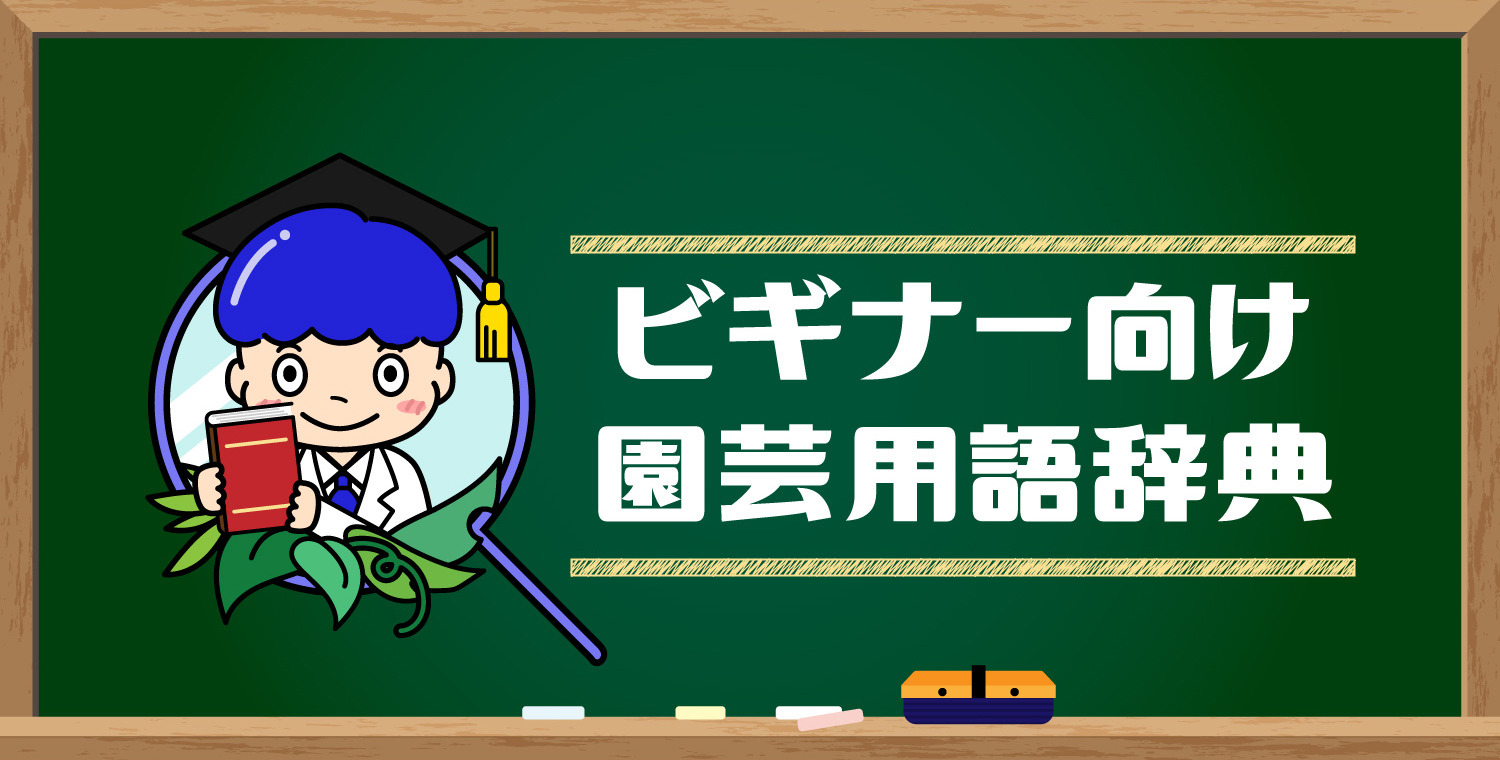 ビギナー向け園芸用語辞典