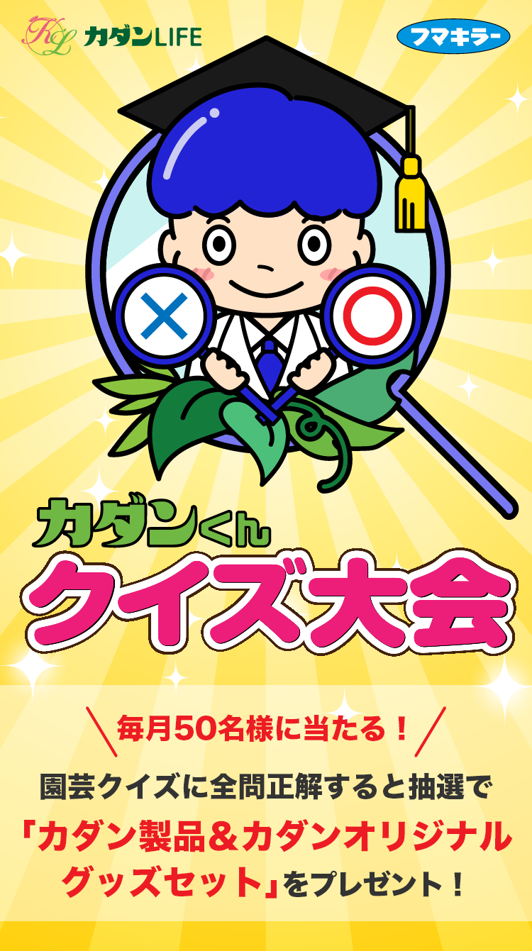 クイズトップ
