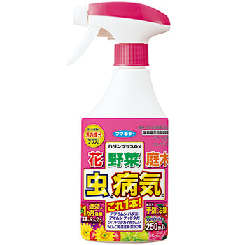 カダンプラスDX 250ml