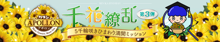 カダン アポロン 千花繚乱キャンペーン第3弾