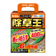カダン 除草王シリーズ オールキラー粒剤 2kg