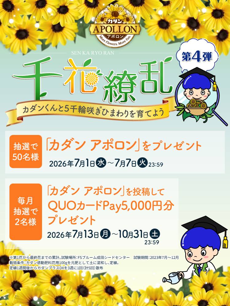 カダンファンハウスキャンペーン