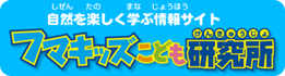 フマキッズこども研究所